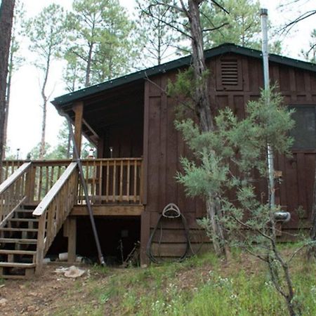 Beary Comfy Cabin Ruidoso Dış mekan fotoğraf