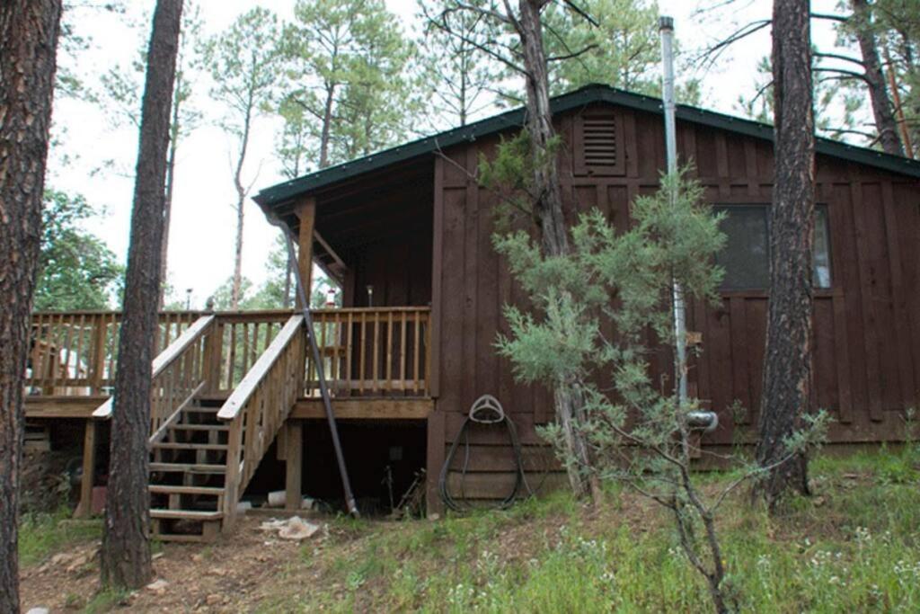 Beary Comfy Cabin Ruidoso Dış mekan fotoğraf